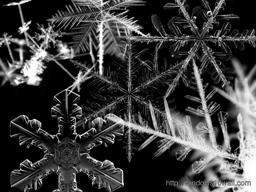 Abstract Snowflake Background Wallpaper