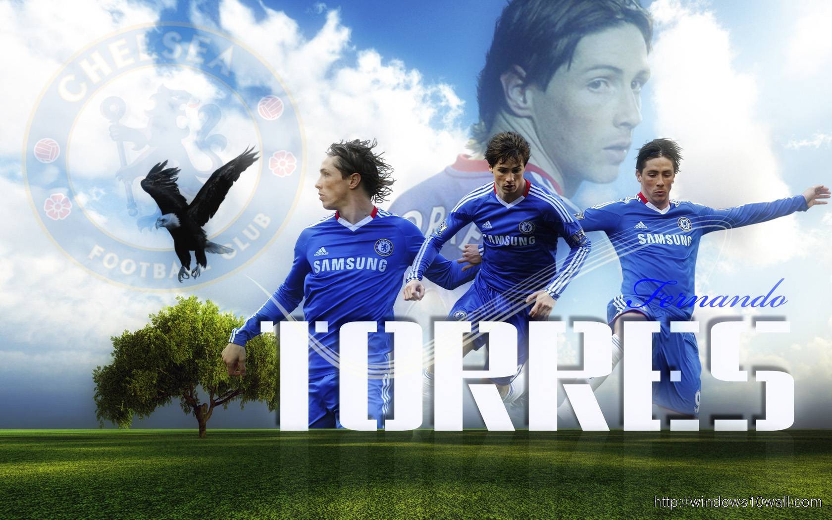 Fernando Torres 1680x1050 Wallpaper