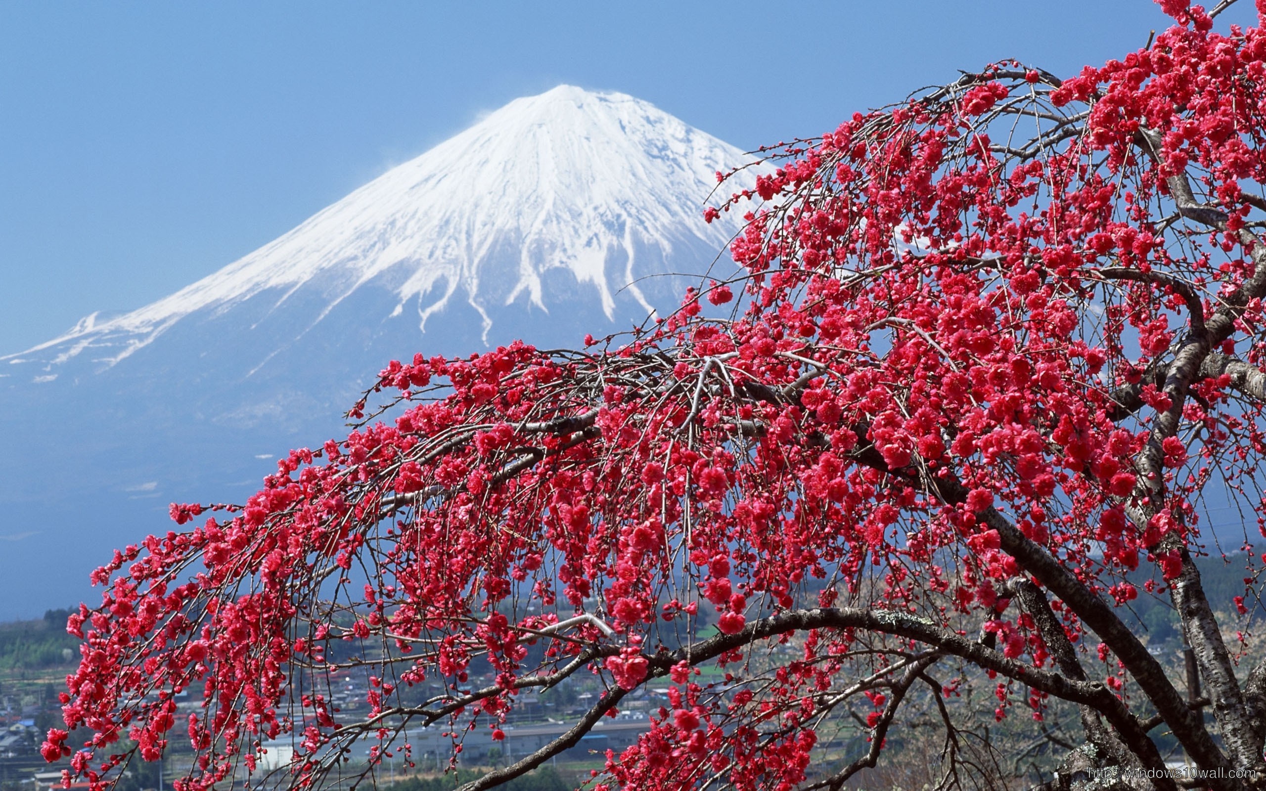 Fuji Mountain With Eyes On Top Wallpaper