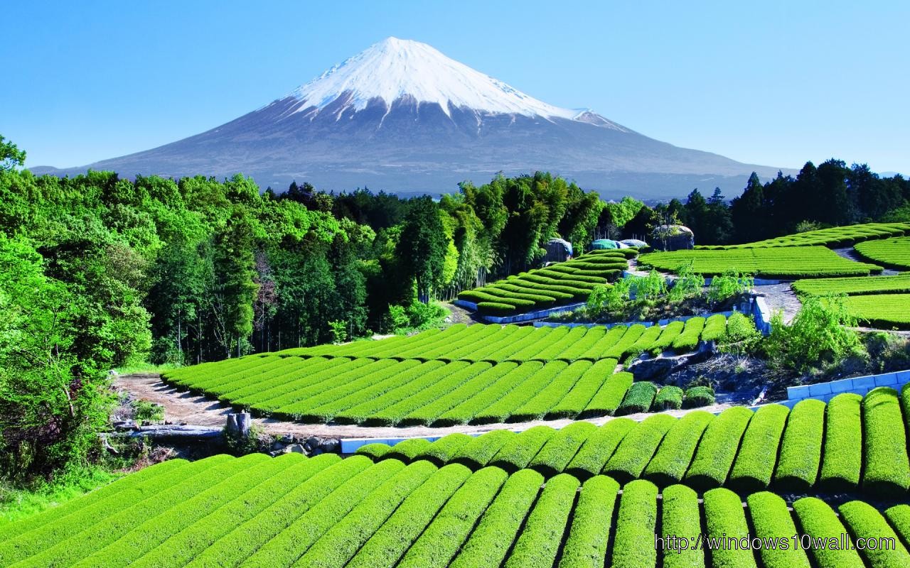 Nice Fuji Mountain Wallpaper